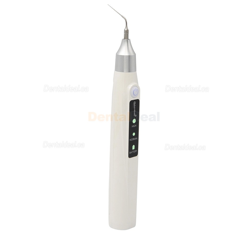 RebornEndo Ultra R6 Dental Cordless Ultrasonic Endo Activator Endodontic Activator